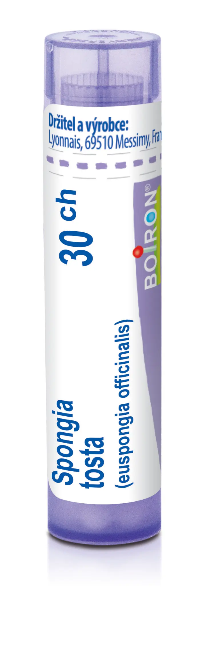 4462_SPONGIA TOSTA 30